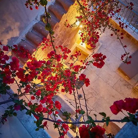 Tatil Evi Lianelia Luxury Argyrades